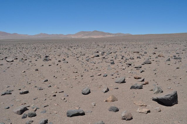 Microorganismos en Atacama se reactivan con aumentos esporádicos de humedad