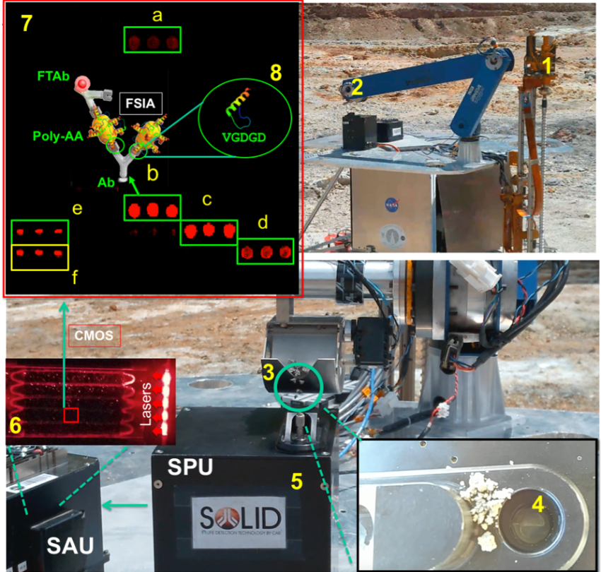 This is how SOLID works: (1, 2) SOLID on the IceBreaker simulated platform during the NASA-Ames collaboration campaign at Rio Tinto in 2017. The IceBreaker(1) drill extracts the subsurface sample (up to 1 m deep) and the robotic arm (2) feeds SOLID (3) into the extraction cell of the SPU. At this point the remote and automated operation is activated: the extraction solution (4) is added, closed and homogenised/extracted by ultrasonication (5), after 10 micron filtration it is incubated with LDChip in the SPU (6). After development with fluorescent antibodies, an image is obtained with a CCD camera (6), downloaded and analysed on "Earth" (7). Fluorescent three-point replicas (a-e) reveal the presence of microbial biomarkers, many of them protein fragments (peptides) as shown in the scheme (8). Ab, capture antibody immobilised on LDChip; FTAb, fluorescent tracer antibody; FSIA, Fluorescent Sandwich ImmunoAssay. Each LDChip spot is 120-150 microns in diameter and contains approximately 10 million antibody molecules waiting to capture molecular structures for which they were "trained". These are polyclonal antibodies, to increase the likelihood of capturing biomarkers.