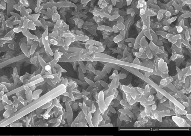 Imagen SEM de polímeros de cianuro