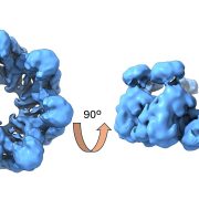 Figure for difusion_4