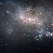 Hundreds of thousands of vibrant blue and red stars are visible in this new image of galaxy NGC 4449 taken by the NASA/ESA Hubble Space Telescope. Hot bluish white clusters of massive stars are scattered throughout the galaxy, interspersed with numerous dustier reddish regions of current star formation. Massive dark clouds of gas and dust are silhouetted against the flaming starlight.